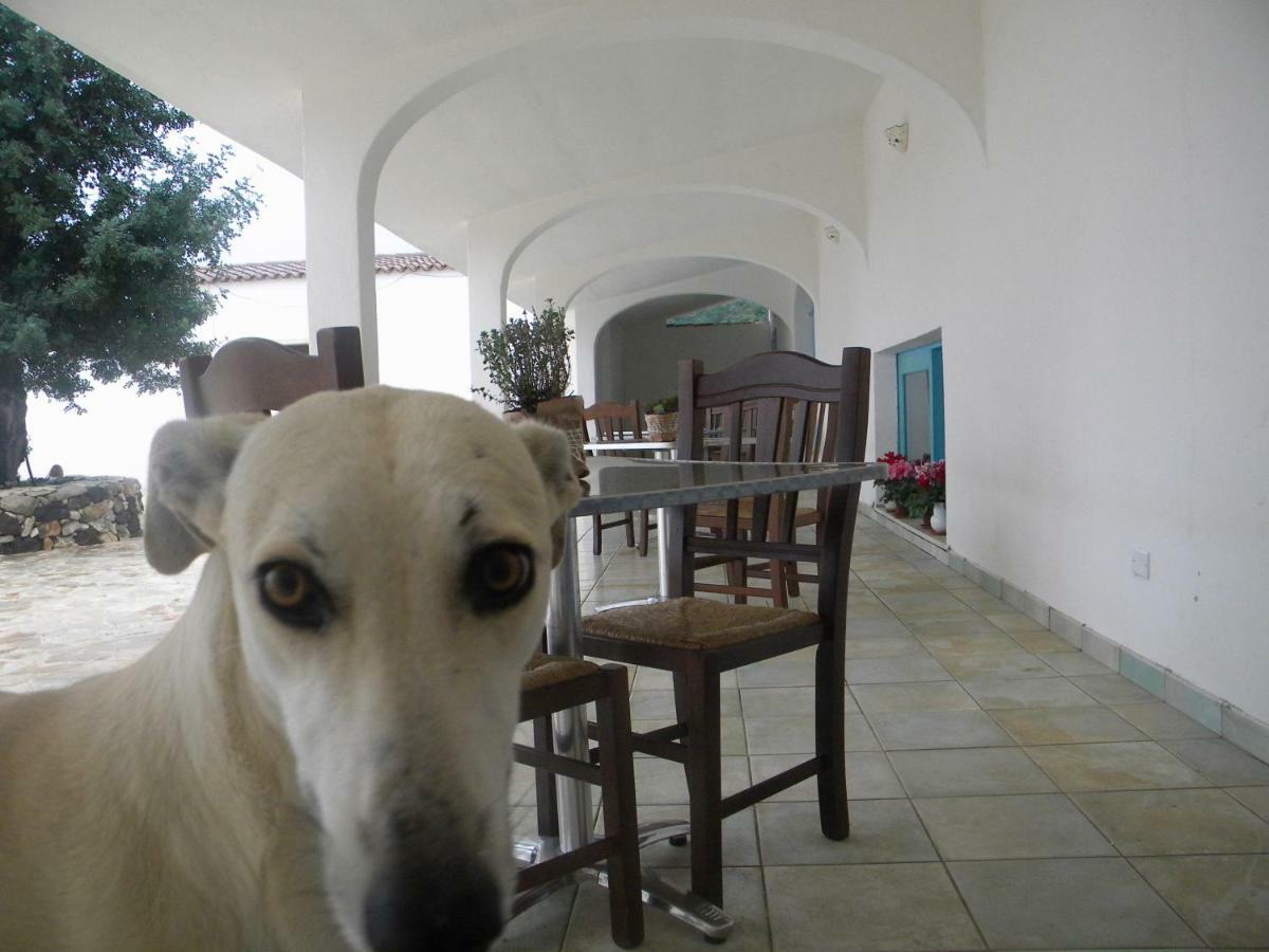 Agriturismo Sa Conca Ruia Orosei Buitenkant foto